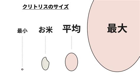 クリトリス 大きい|【正しく知ろう】女性のサイズ。深さや大きさは変化 .